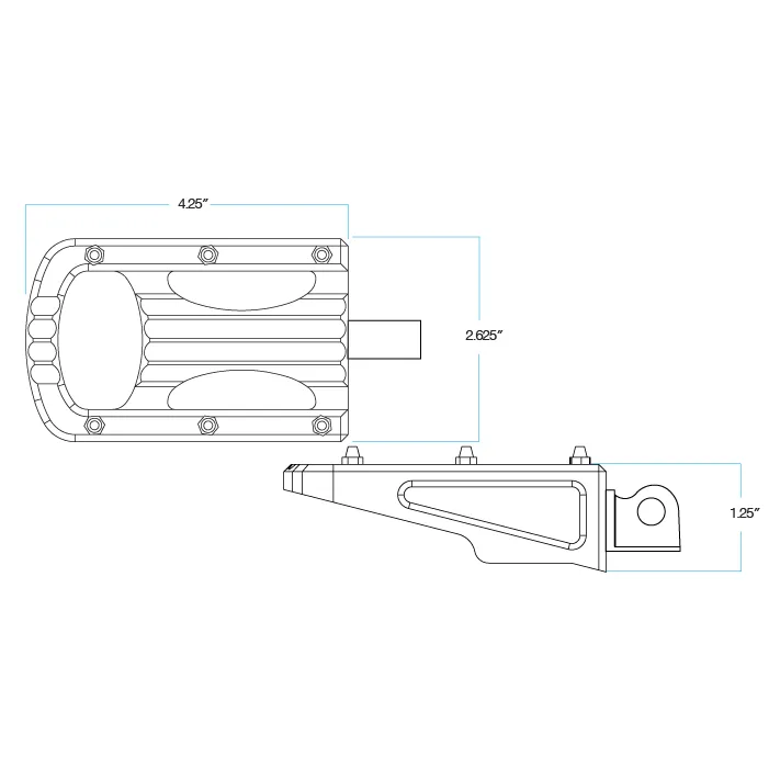 BILTWELL Punisher XL Footpegs