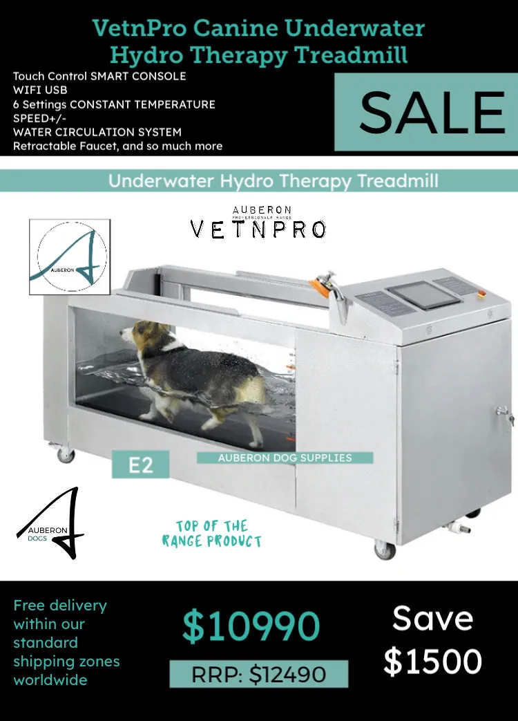 Canine Hydrotherapy Dog Underwater Treadmill Industry Pro range VetnPro Superior Top Class feat. WIFI ON SALE