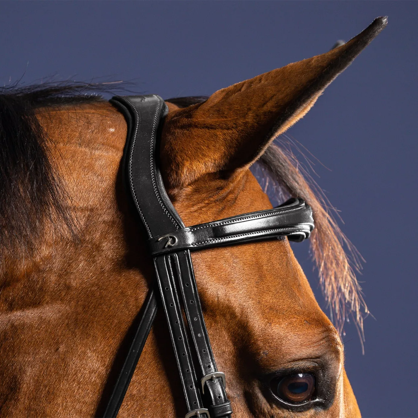 Dy'on New English Anatomic Flash Noseband Bridle - Black