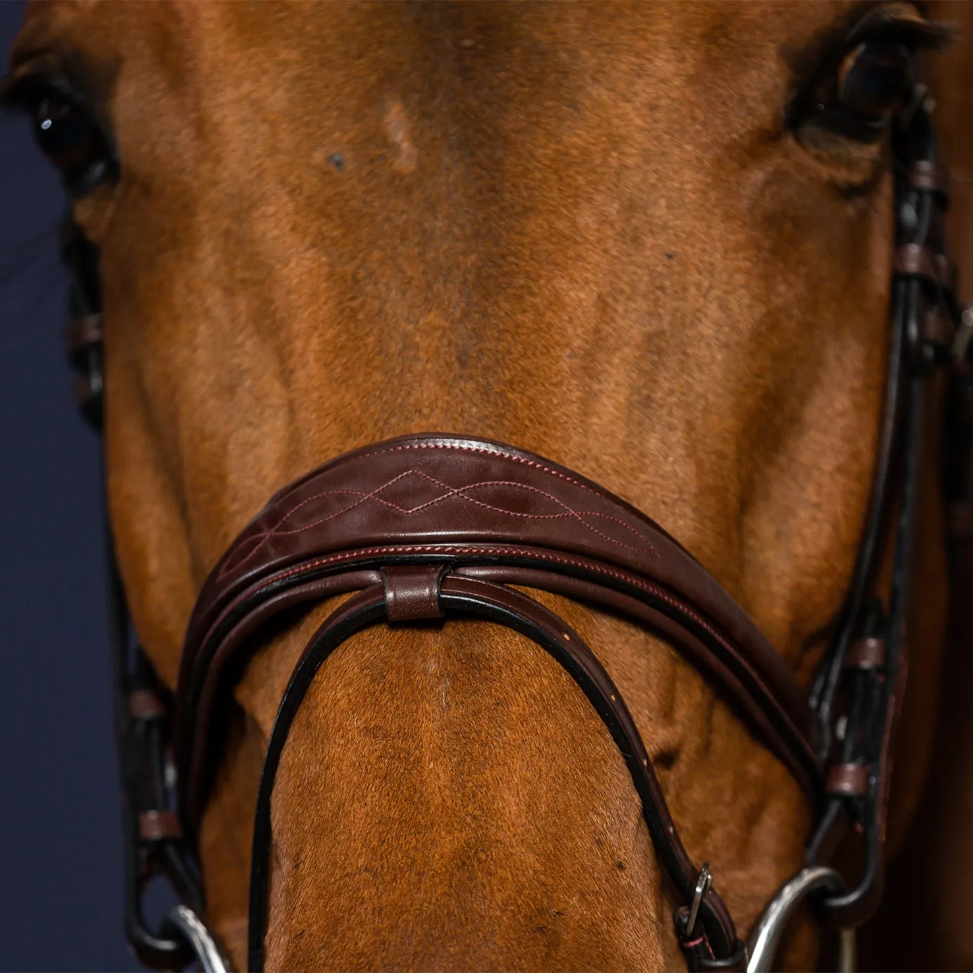 Dy'on New English Anatomic Flash Noseband Bridle - Brown