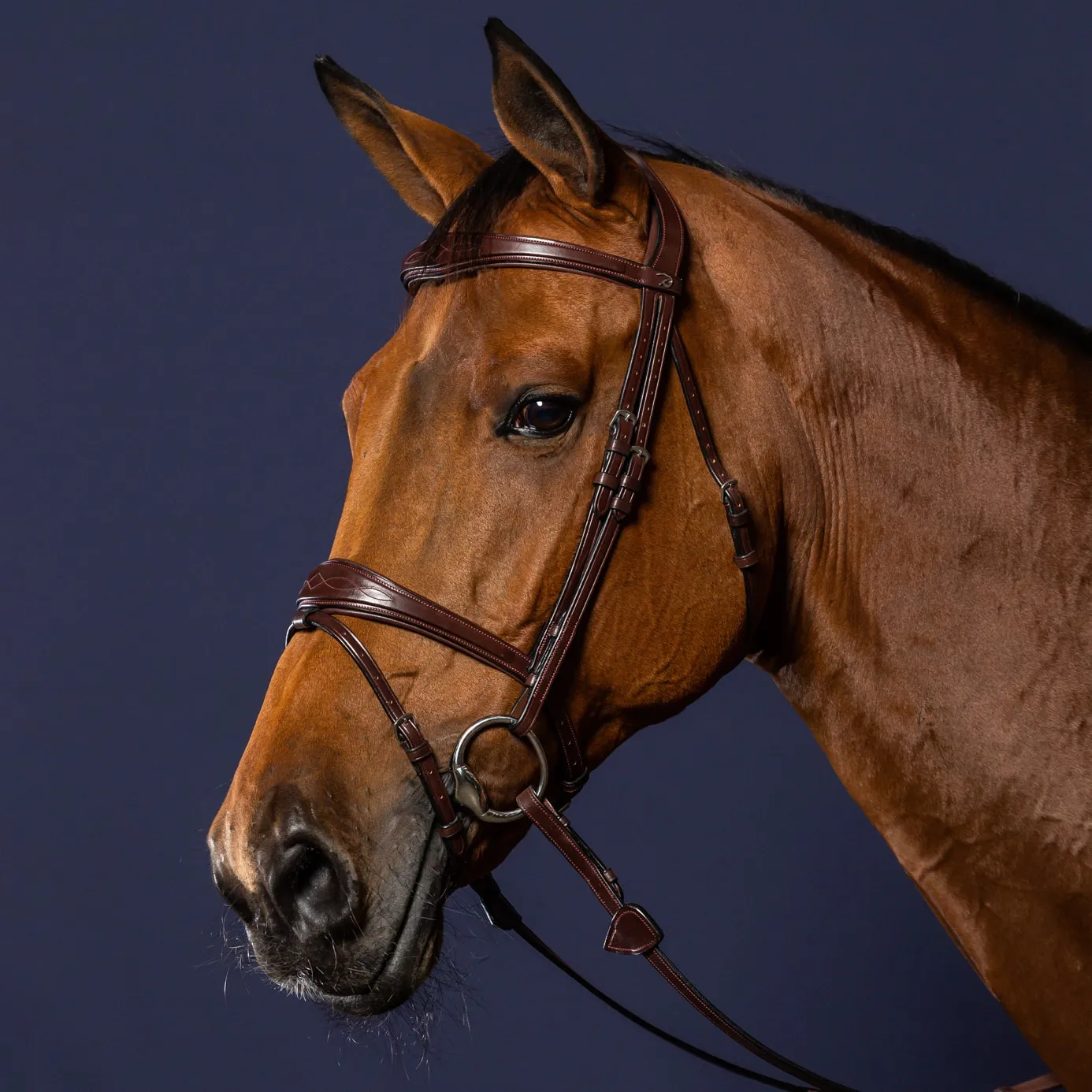 Dy'on New English Anatomic Flash Noseband Bridle - Brown