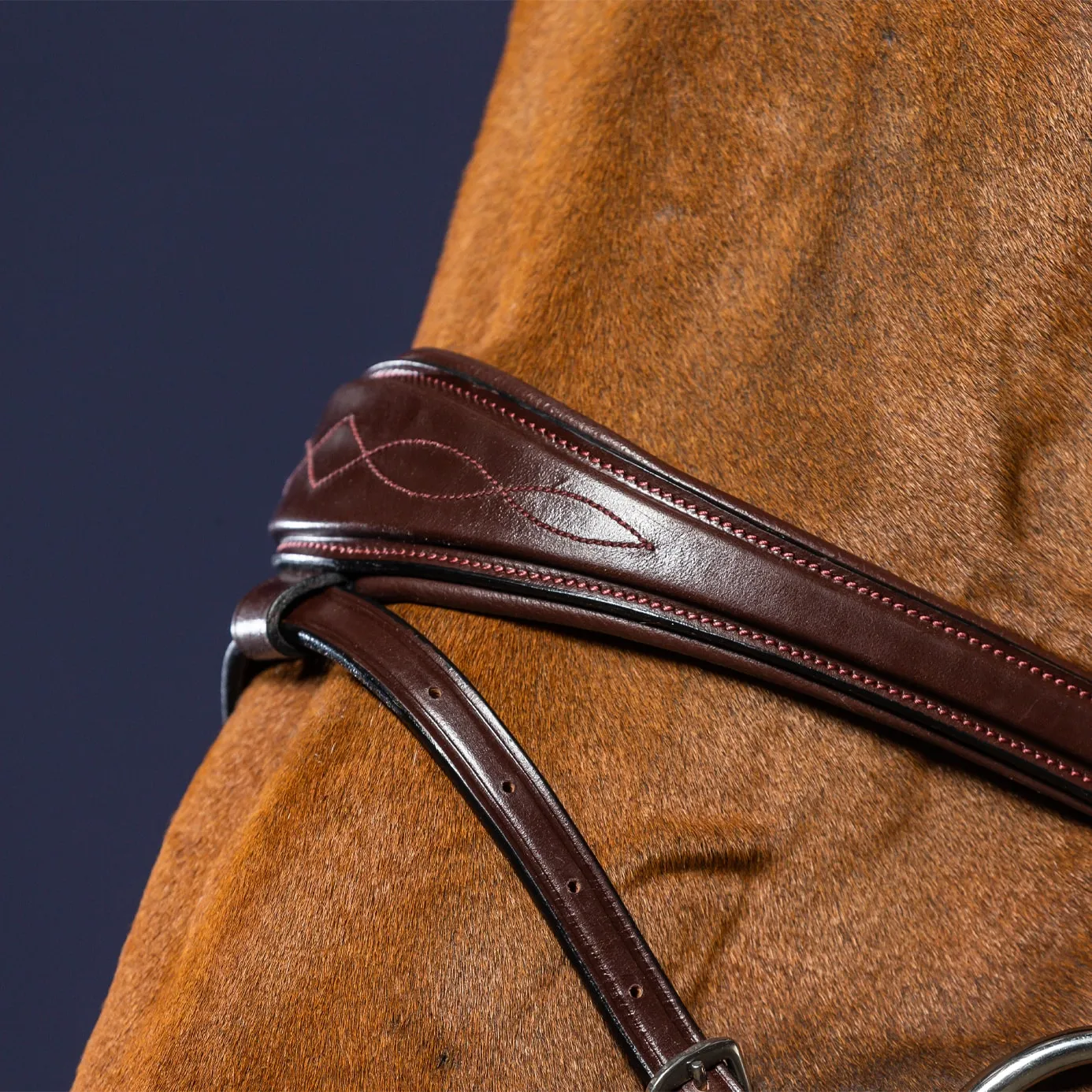 Dy'on New English Anatomic Flash Noseband Bridle - Brown