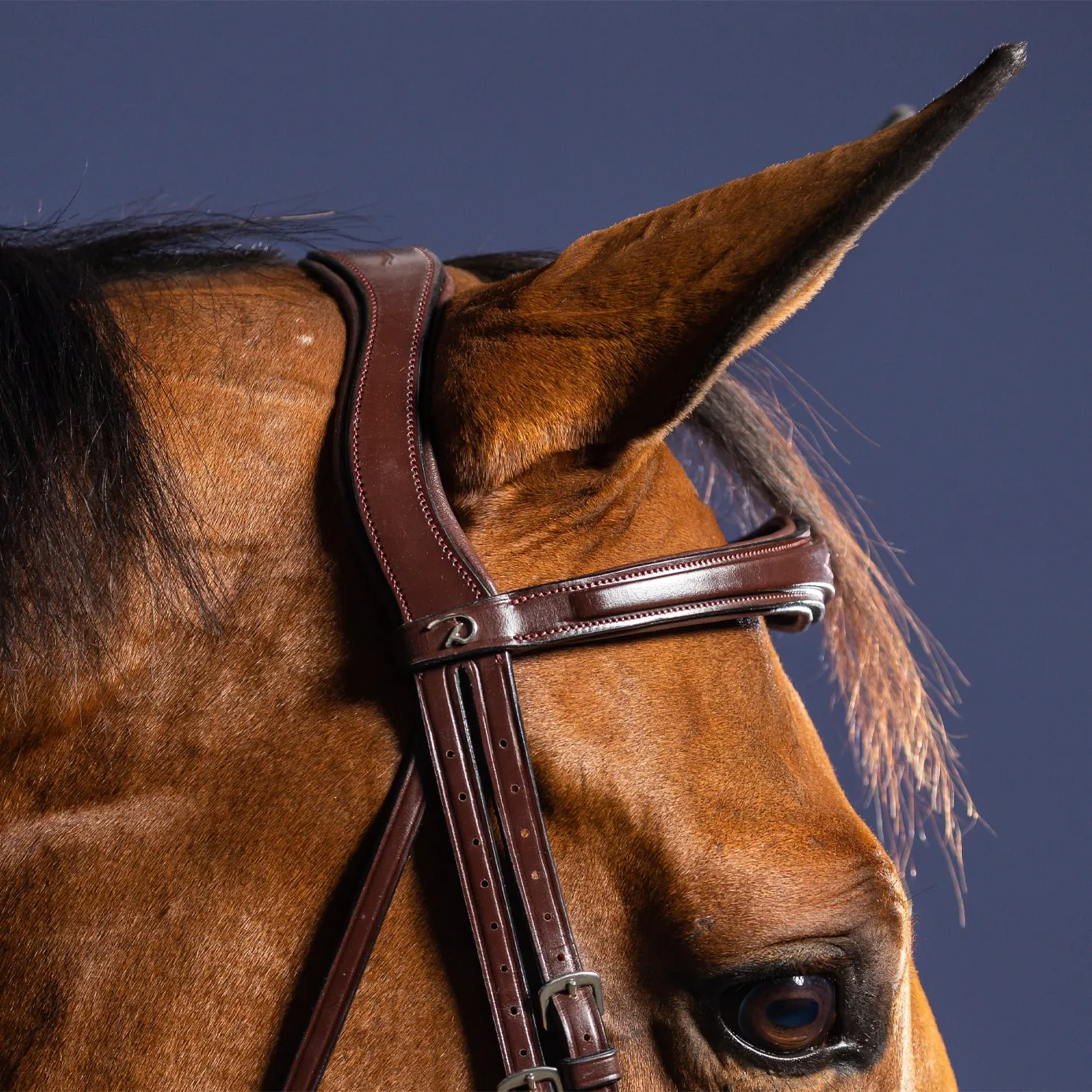 Dy'on New English Anatomic Flash Noseband Bridle - Brown