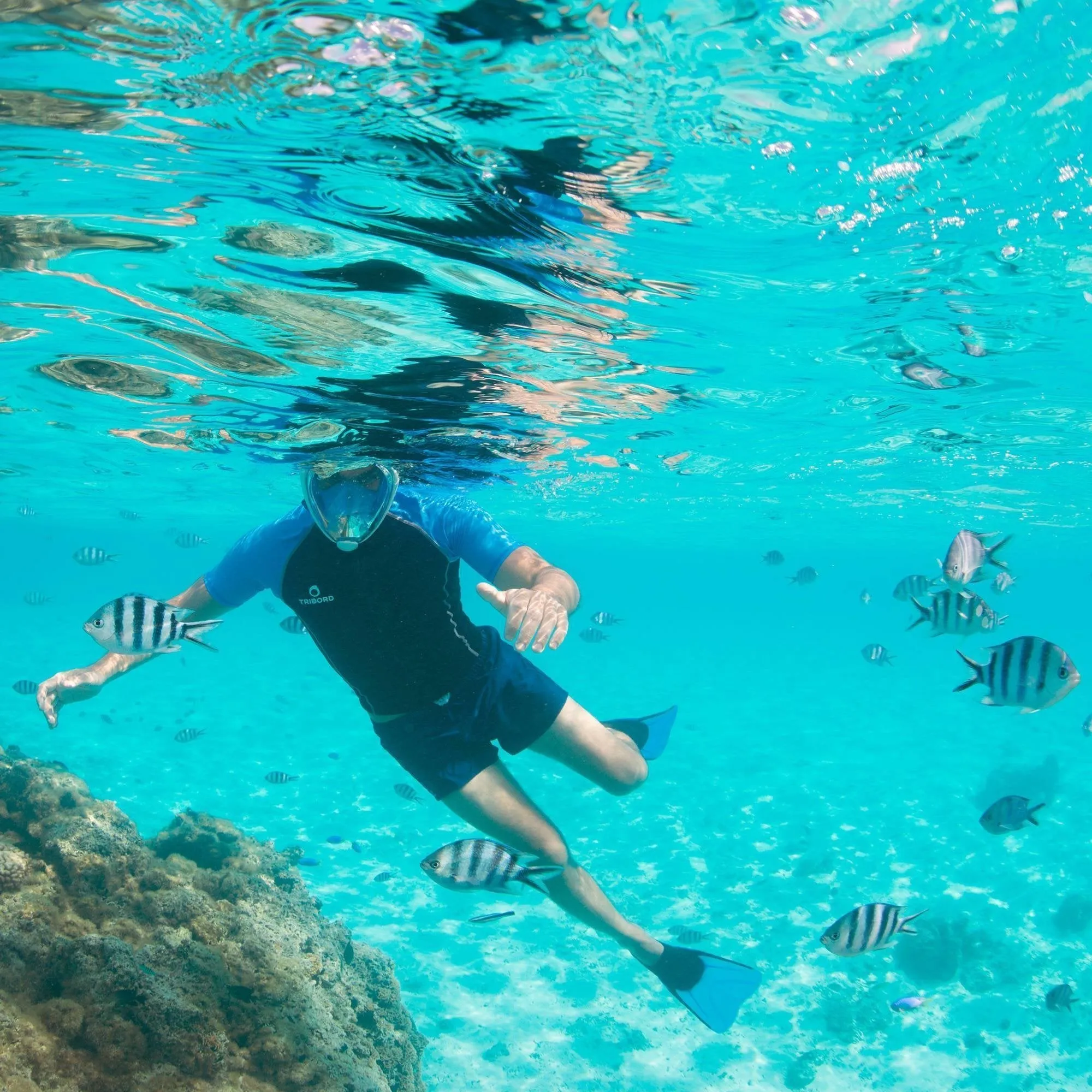 Men's Snorkeling Top