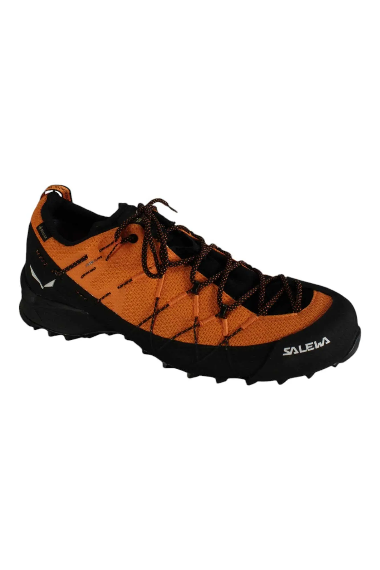 Salewa Men's Wildfire 2 GTX Shoe